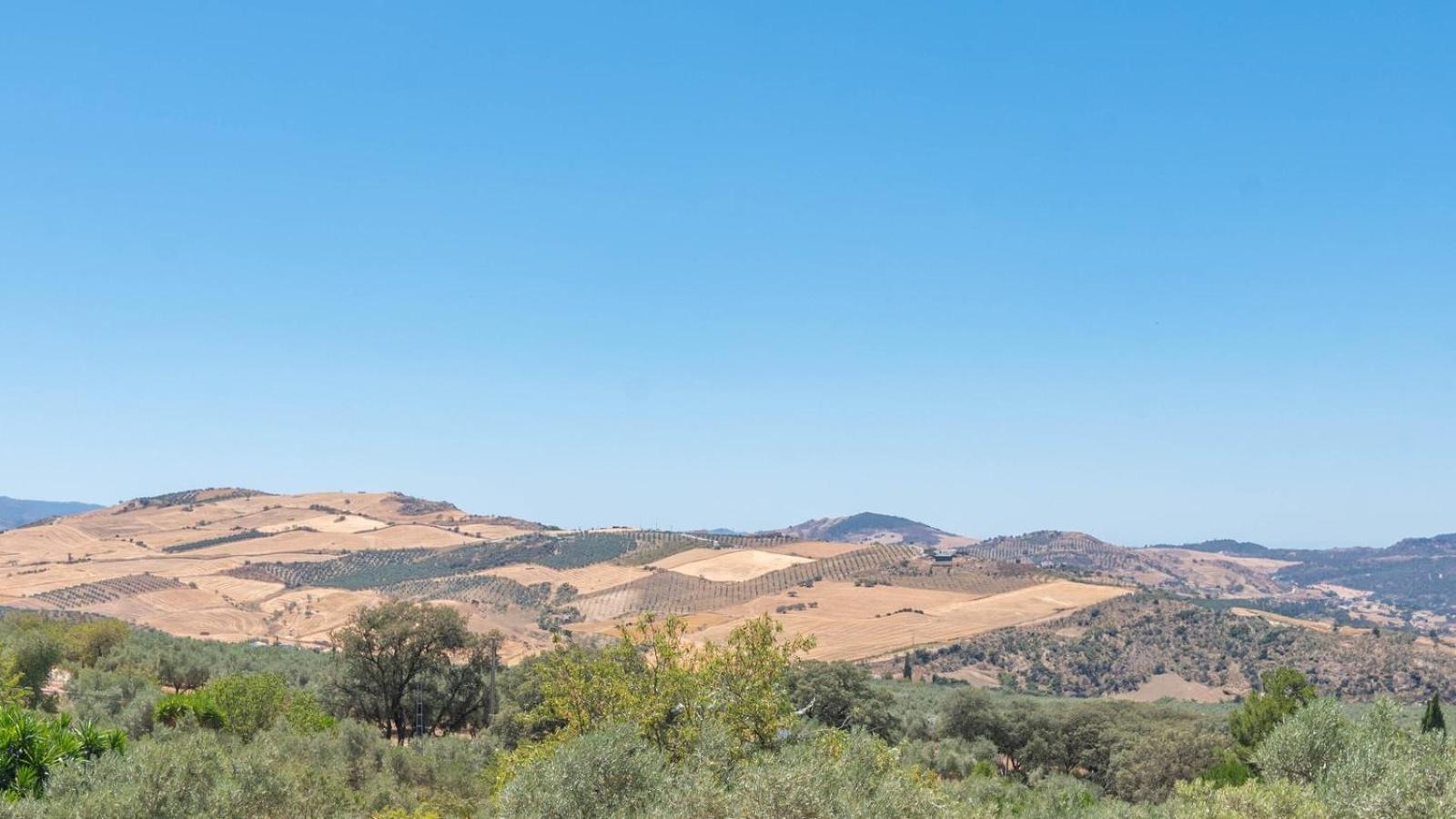 Casa Pulirio Antequera - La Higuera By Ruralidays Villa Dış mekan fotoğraf